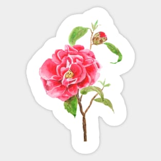 one red camellia flower Sticker